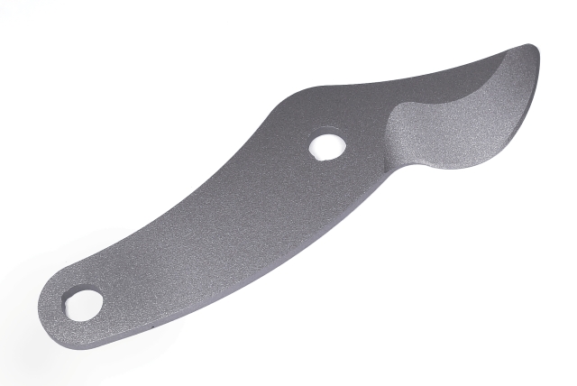 Foglia 5939955-01