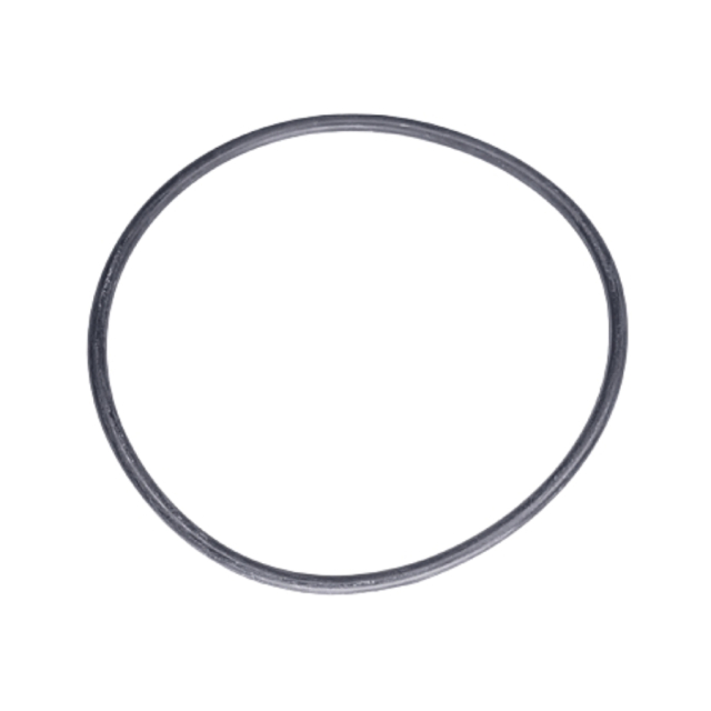 Rondella O Tipo 63X2.65 5967473-01