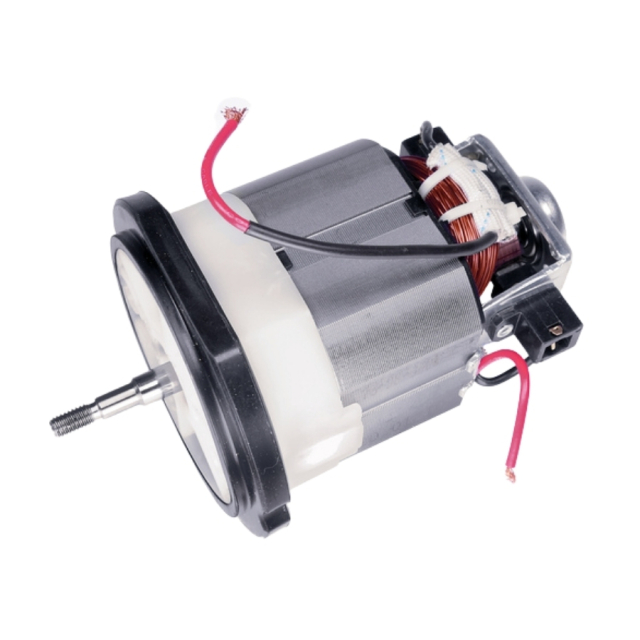 Motore 5975122-01