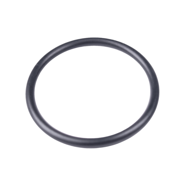 Anello Or 28X2.65 5989498-01