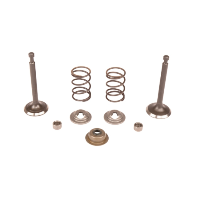 Kit valvola 5993492-45