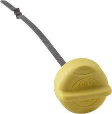 Astina di livello olio