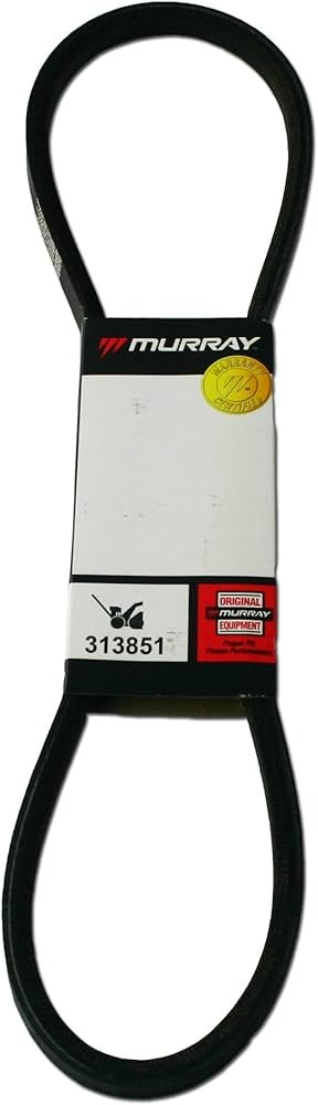 Cinghia trapezoidale