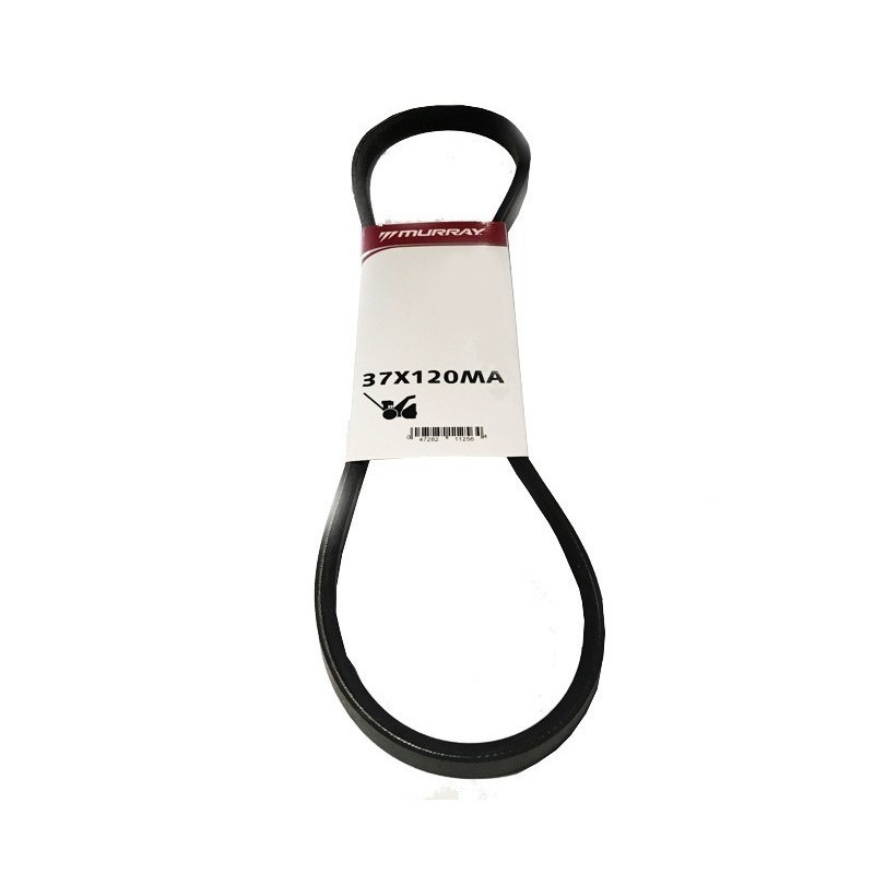 Cinghia trapezoidale