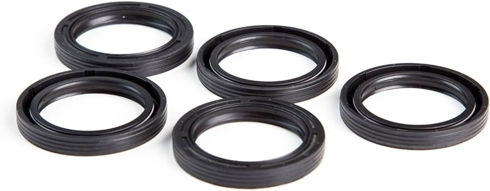 Olio di tenuta (5 X 291675S)