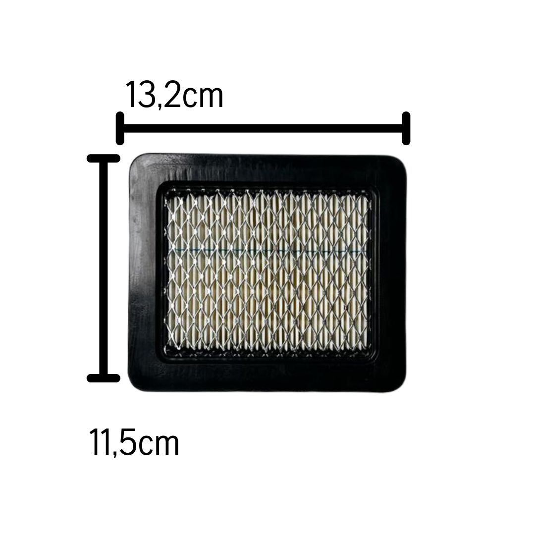 Filtro aria Briggs & Stratton 491588S