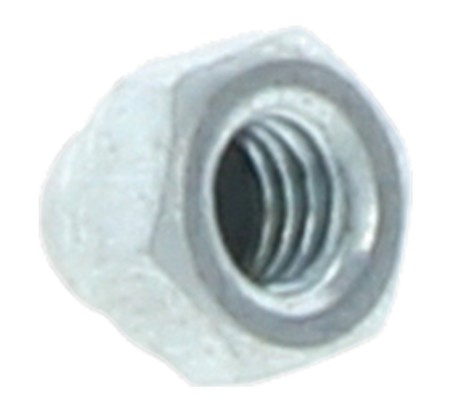 Dado (cupola) 5019419-01
