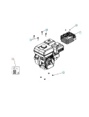 Decalcomania 5019625-01 Decalcomania 5019625-01