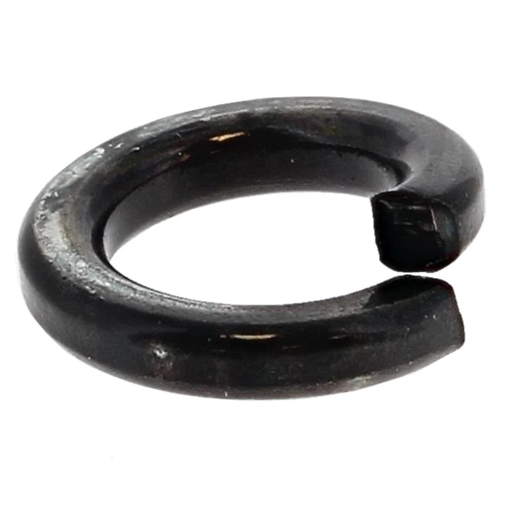 Rondella Elastica 5024342-01