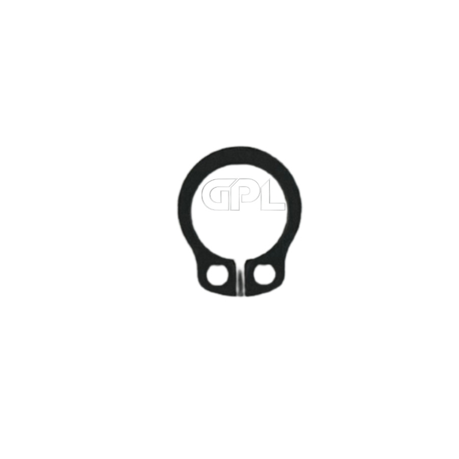 Anello Di Bloccaggio 5044971-01