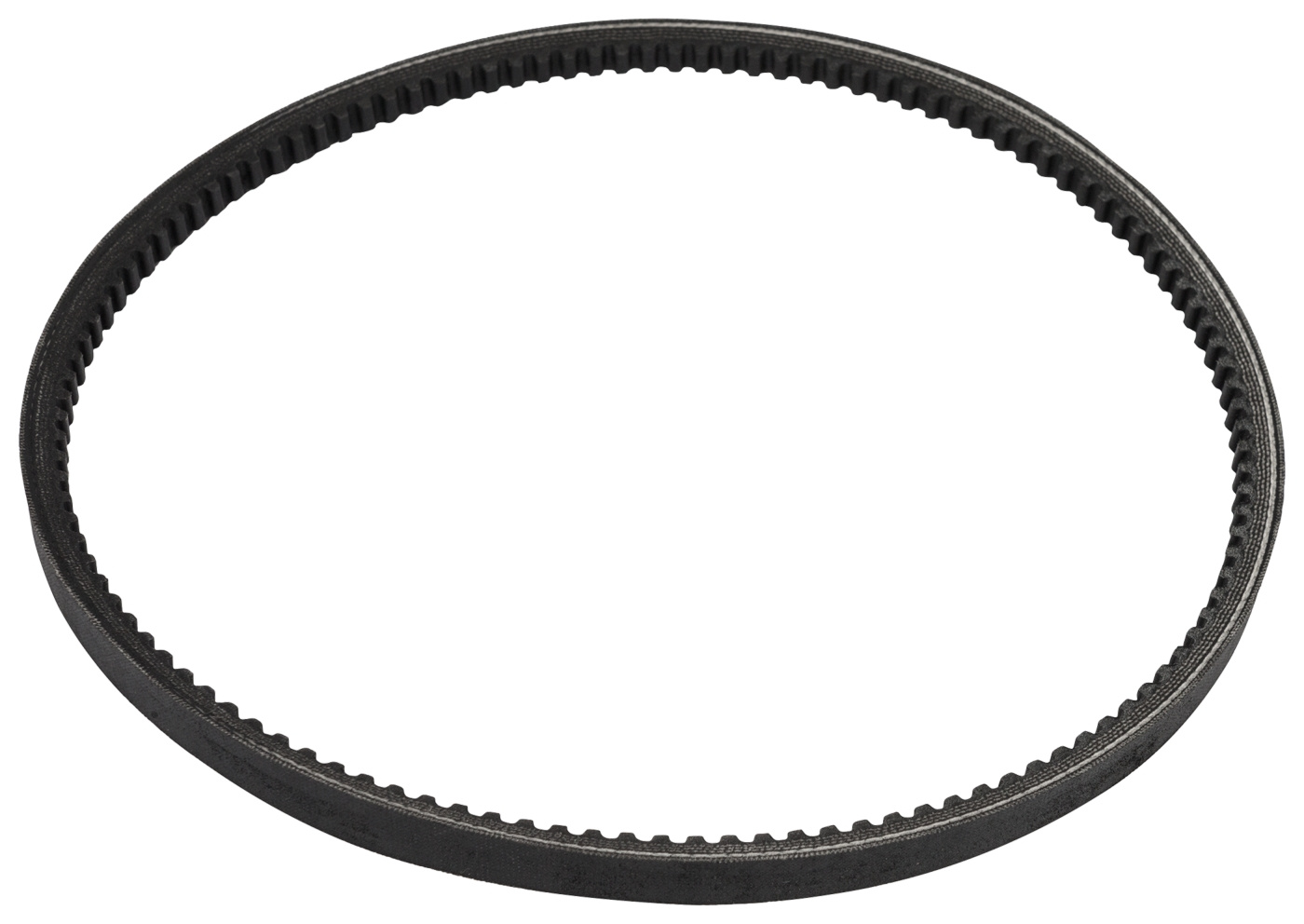 Cinghia 5069883-01