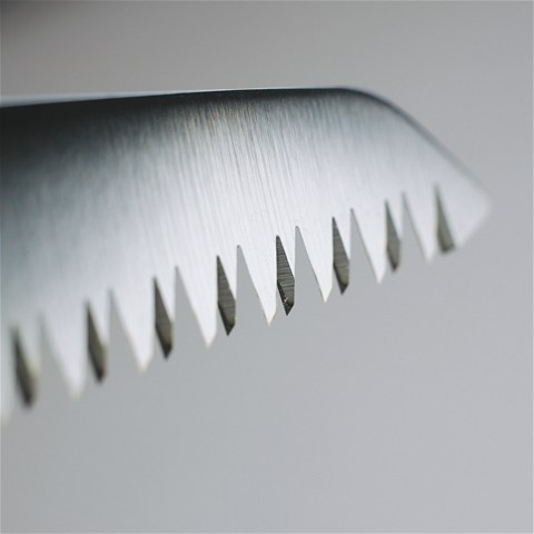 Seghetto diritto potatura 240mm