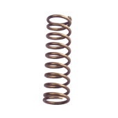 Molla Di Compressione 5204543-01 Molla Di Compressione 5204543-01