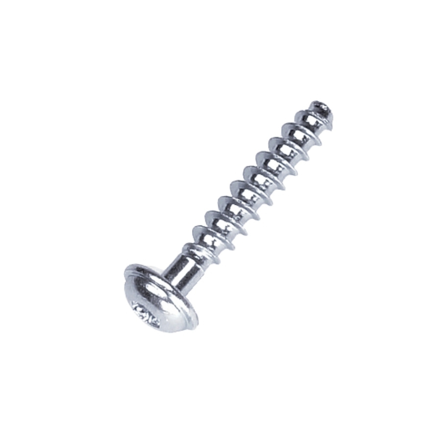 Vite T50X28 5205247-01