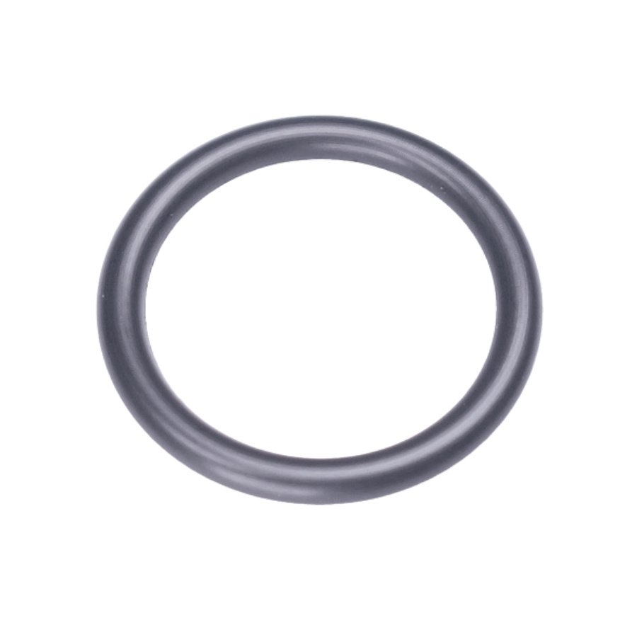 Anello Or 16.6X2.4 5237693-01