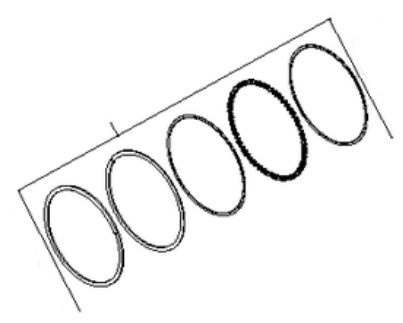 Fascia elastica