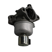 Carburatore 5254527-01 Carburatore 5254527-01