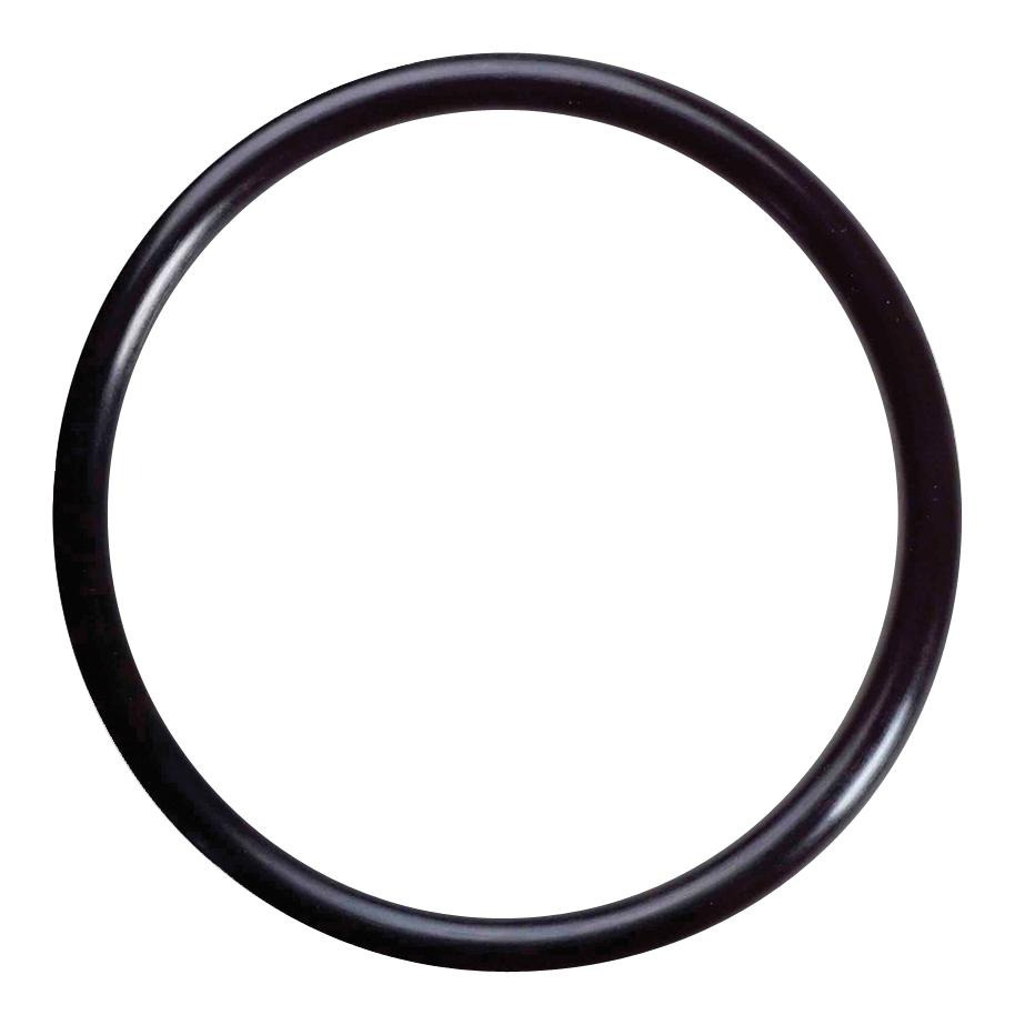 O-Ring 5310078-47