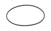 Anello Or 80X1,6 Anello Or 80X1,6