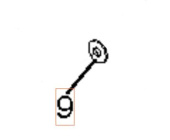 Vassoio 5321544-67 Vassoio 5321544-67