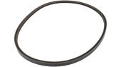 Cinghia 5321754-36 Cinghia 5321754-36