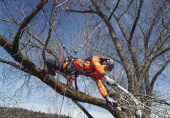 Imbracatura da arrampicata per arboricoltore Husqvarna
