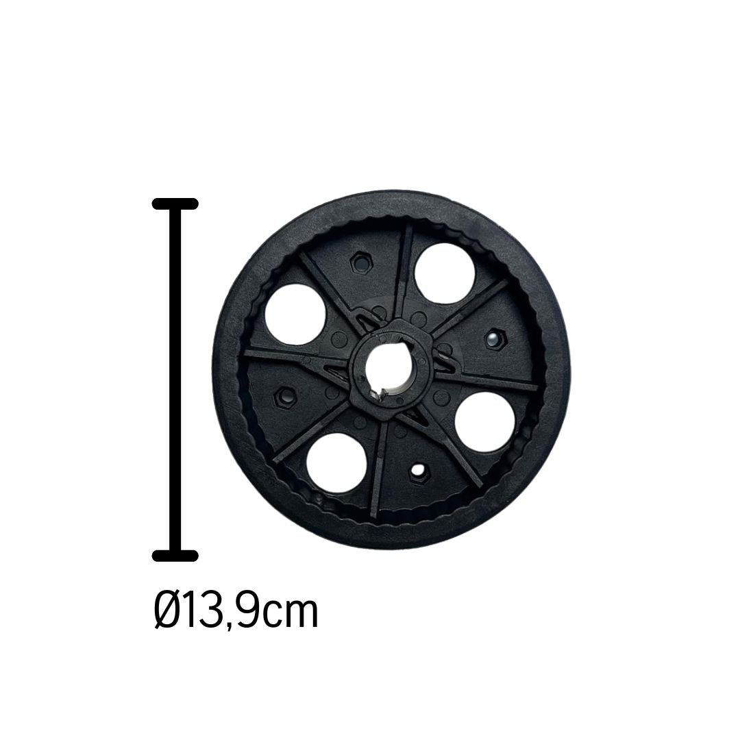 Ingranaggio della puleggia