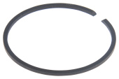 Fascia elastica Fascia elastica