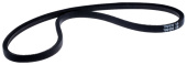 Cinghia 5391004-39 Cinghia 5391004-39