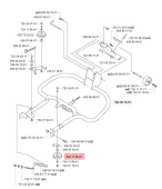 Tendicinghia Tendicinghia