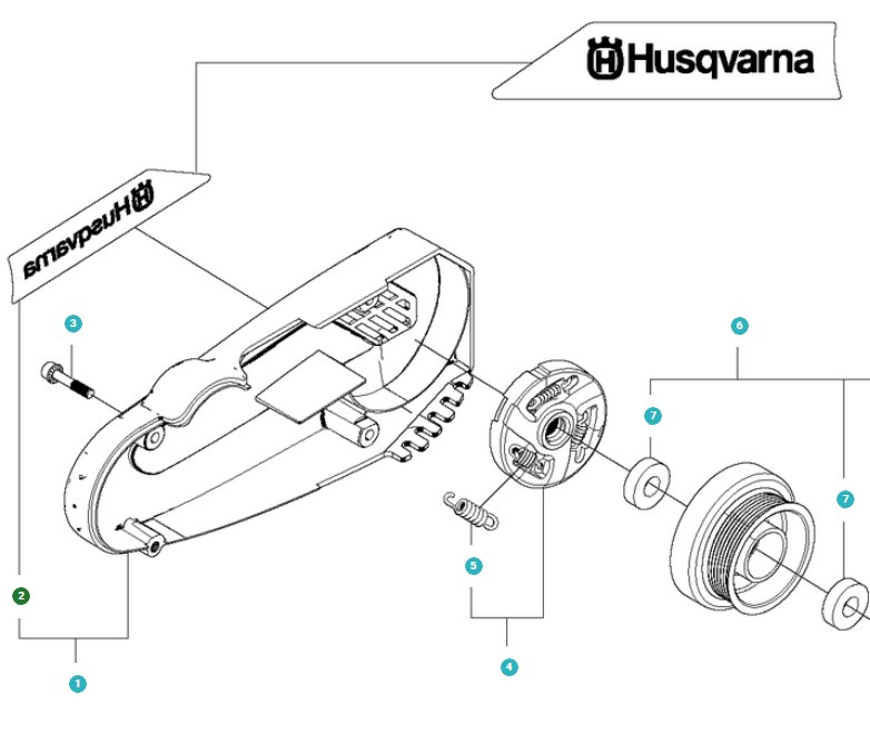Decalcomania, protezione cinghia