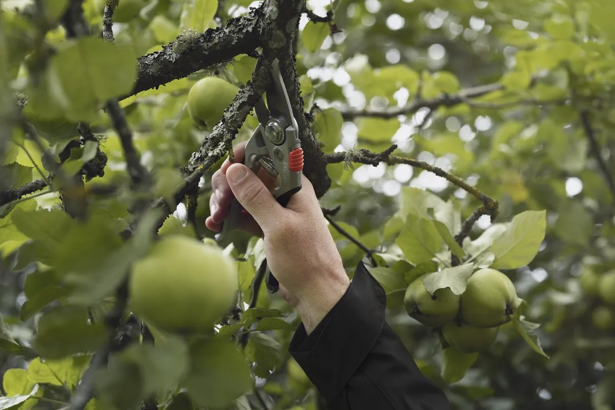 Husqvarna cesoie Large