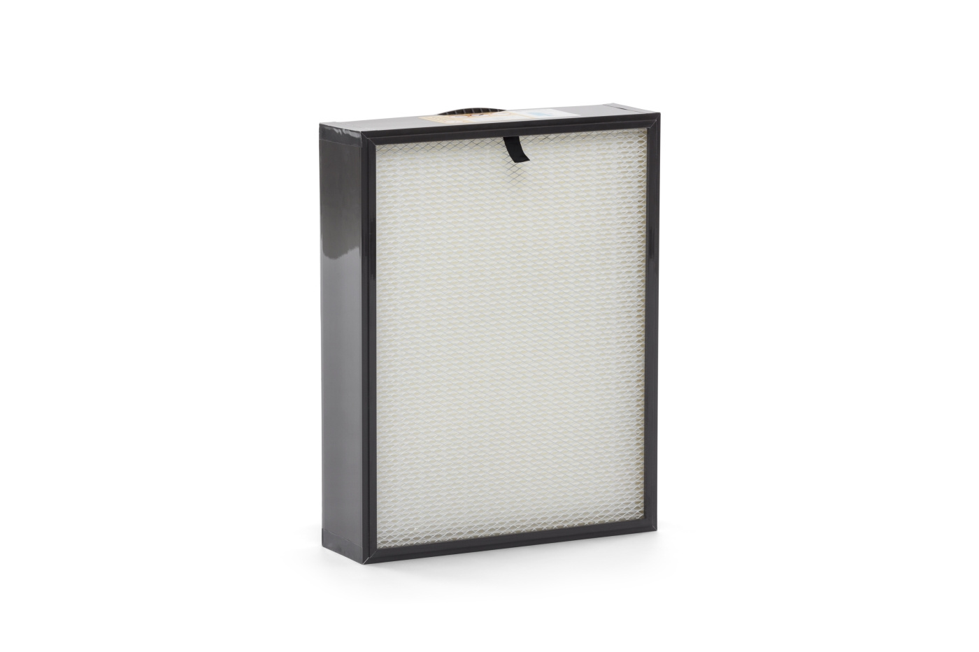 Filtro essenziale H13