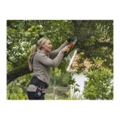 Cintura porta attrezzi, giardinaggio Cintura porta attrezzi, giardinaggio