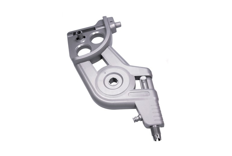 Pollo A Sinistra 5761551-01