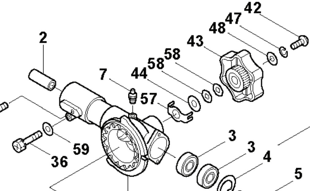 Germoglio 5762652-01