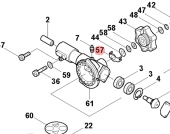 Piatto 5762659-01 Piatto 5762659-01