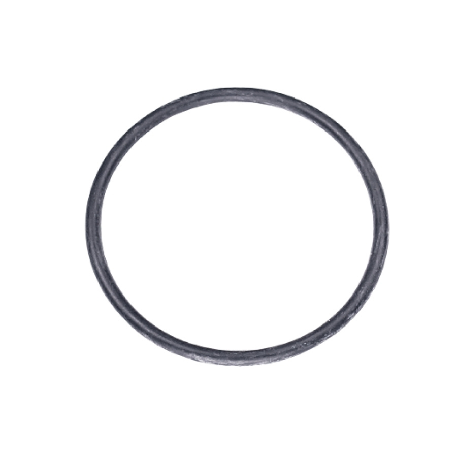 O-Ring 5787610-01