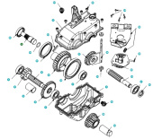 Spalla 5803144-01 Spalla 5803144-01