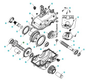 Spalla 5803146-01 Spalla 5803146-01