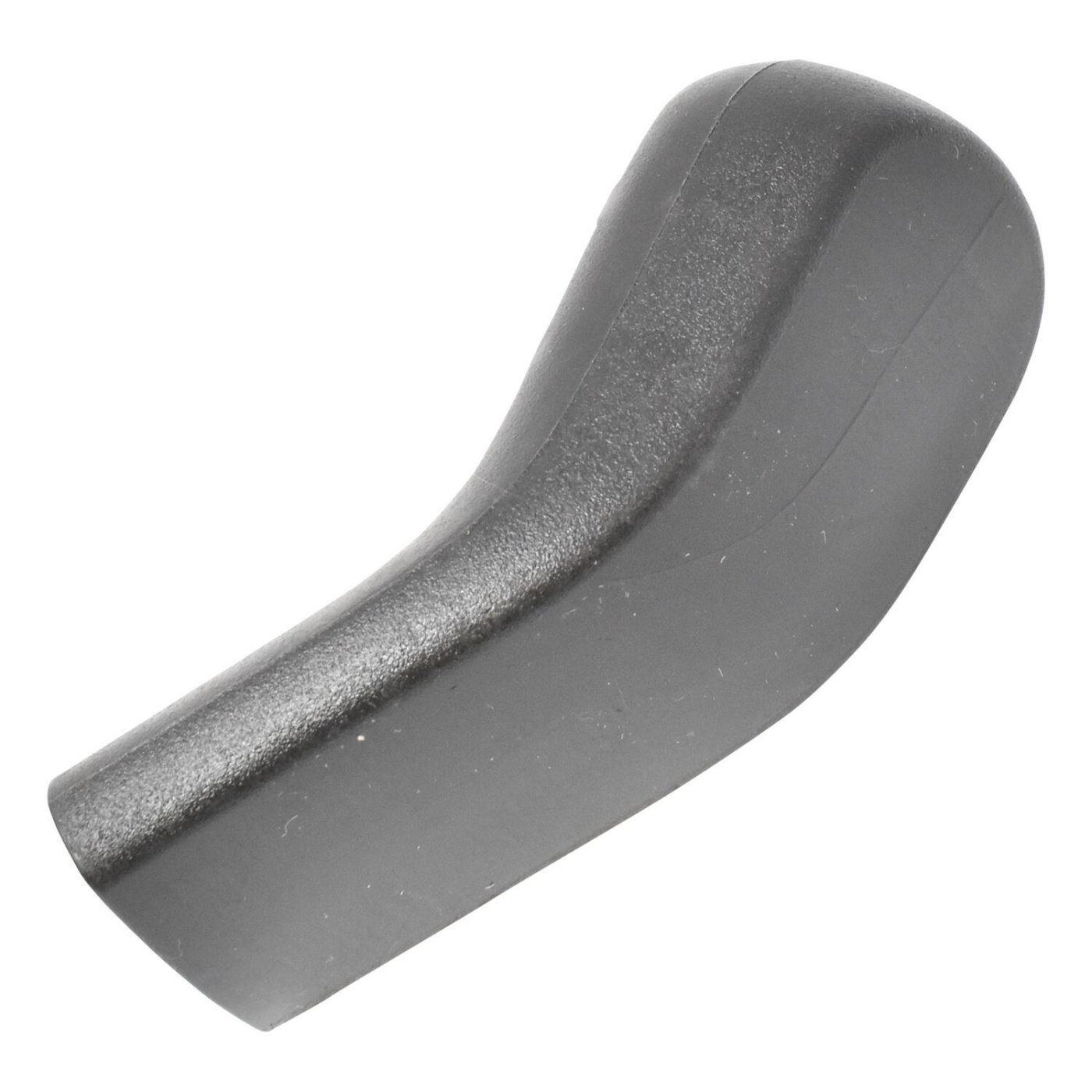 Germoglio 5804624-01