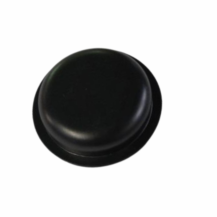 Capsula Hub 5817375-01