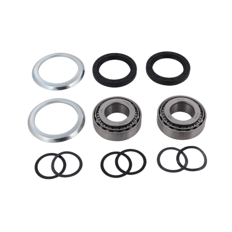 Kit Cuscinetti Con Guarnizioni 5839111-01