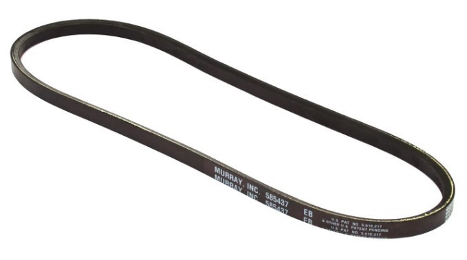 Cinghia trapezoidale