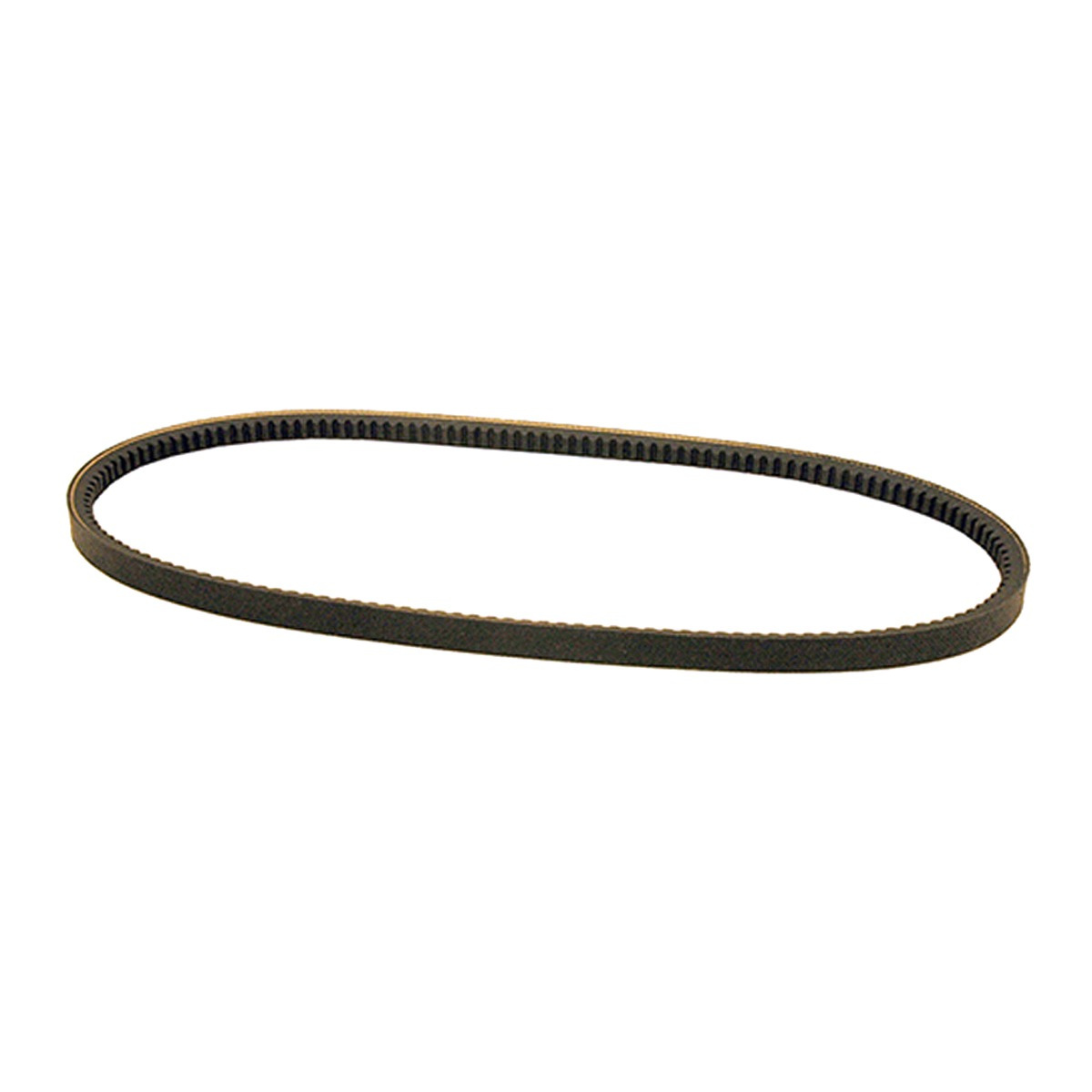 Cinghia Rider 213, 214T/TC/C