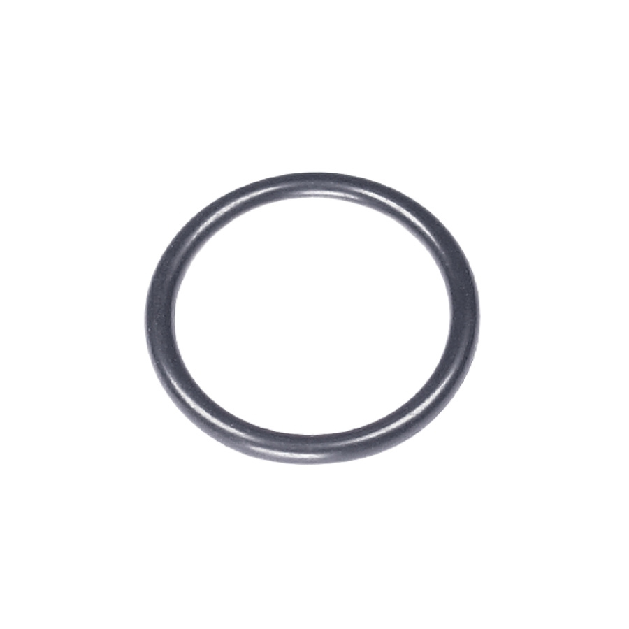 Anello Or 22.22X2.62 5901706-01