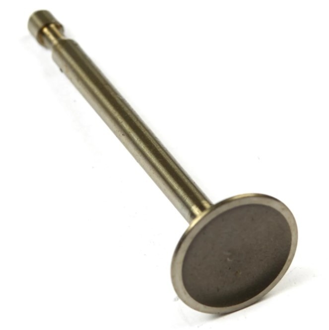 Valvola di aspirazione