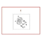 Gruppo Ponte 331R/Rb 333R/Rb 5936598-02 Gruppo Ponte 331R/Rb 333R/Rb 5936598-02