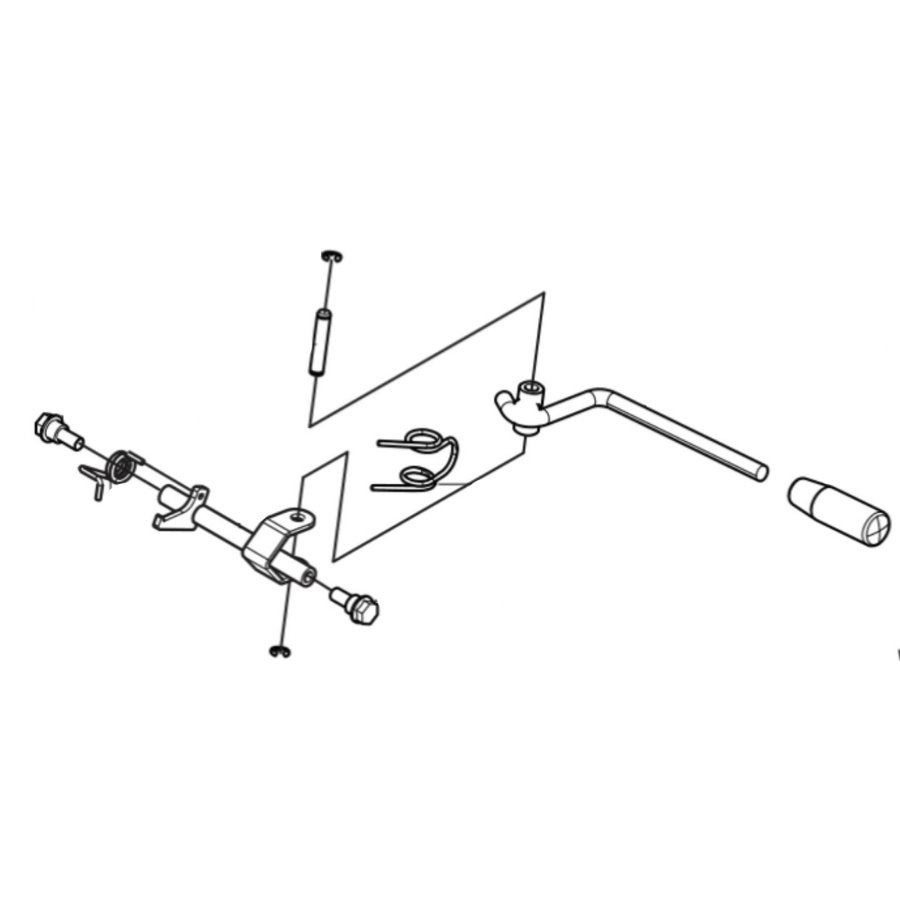 Trasferimento del peso del fegato