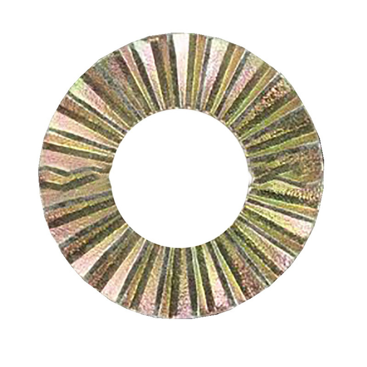 Rondella dentata Rondella di sicurezza Ex